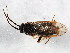  ( - BIOUG01016-E10)  @13 [ ] CreativeCommons - Attribution (2011) CBG Photography Group Centre for Biodiversity Genomics