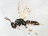  ( - BIOUG01017-E01)  @13 [ ] CreativeCommons - Attribution (2011) CBG Photography Group Centre for Biodiversity Genomics