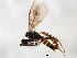  ( - BIOUG01017-E10)  @12 [ ] CreativeCommons - Attribution (2011) CBG Photography Group Centre for Biodiversity Genomics