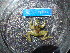  ( - HARG-12)  @11 [ ] Unspecified (default): All Rights Reserved  Unspecified Unspecified