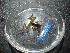  ( - HARG-16)  @11 [ ] Unspecified (default): All Rights Reserved  Unspecified Unspecified