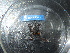  ( - HARG-17)  @11 [ ] Unspecified (default): All Rights Reserved  Unspecified Unspecified