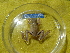  ( - HARG-05)  @11 [ ] Unspecified (default): All Rights Reserved  Unspecified Unspecified