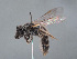  ( - HASARD-068)  @11 [ ] nrr (2024) Unspecified Simone Flaminio