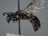  ( - HASARD-153)  @11 [ ] nrr (2024) Unspecified Romain Le Divelec