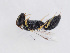  ( - HASARD-180)  @11 [ ] nrr (2024) Unspecified Romain Le Divelec