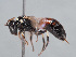  ( - HASARD-259)  @11 [ ] nrr (2024) Unspecified Romain Le Divelec