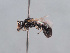  ( - HASARD-263)  @11 [ ] nrr (2024) Unspecified Romain Le Divelec