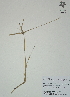  ( - XAL-101)  @11 [ ] Copyright  T. Mejia 2012 Unspecified