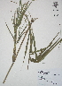  ( - XAL-131)  @11 [ ] Copyright  T. Mejia 2012 Unspecified
