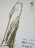  ( - XAL-131)  @11 [ ] Copyright  T. Mejia 2012 Unspecified