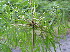  ( - XAL-14)  @11 [ ] Copyright  T. Mejia 2010 Unspecified