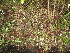  ( - XAL-17)  @11 [ ] Copyright  T. Mejia 2010 Unspecified