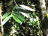  ( - XAL-17)  @11 [ ] Copyright  T. Mejia 2010 Unspecified