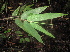  ( - XAL-64)  @11 [ ] Copyright  T. Mejia 2010 Unspecified