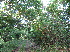 ( - XAL-72)  @11 [ ] Copyright  T. Mejia 2010 Unspecified