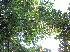  ( - XAL-72)  @11 [ ] Copyright  T. Mejia 2010 Unspecified