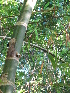  ( - XAL-72)  @11 [ ] Copyright  T. Mejia 2010 Unspecified