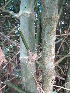  ( - XAL-72)  @11 [ ] Copyright  T. Mejia 2010 Unspecified