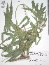  ( - XAL-72)  @11 [ ] Copyright  T. Mejia 2010 Unspecified