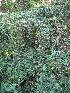  ( - XAL-8)  @11 [ ] Copyright  T. Mejia 2010 Unspecified
