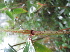  ( - XAL-112)  @11 [ ] Copyright  T. Mejia 2012 Unspecified