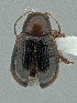  ( - CCDB-19515-D02)  @11 [ ] by-nc-nd (2024) Hume Douglas Agriculture and Agri-Food Canada