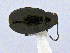 ( - CCDB19514_CNC_P1F1)  @11 [ ] Copyright (2020) AAFC AAFC