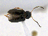  ( - CCDB19514_CNC_P1H8)  @11 [ ] Copyright (2020) AAFC AAFC