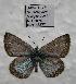  ( - 606NK-MG2)  @13 [ ] Unspecified (default): All Rights Reserved  Unspecified Unspecified