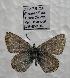  ( - 606NK-KD4)  @13 [ ] Unspecified (default): All Rights Reserved  Unspecified Unspecified