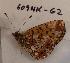  ( - 609NK-G2)  @13 [ ] Unspecified (default): All Rights Reserved  Unspecified Unspecified