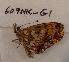  ( - 609NK-G1)  @13 [ ] Unspecified (default): All Rights Reserved  Unspecified Unspecified