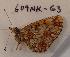  (Boloria perryi - 609NK-G3)  @13 [ ] Unspecified (default): All Rights Reserved  Unspecified Unspecified