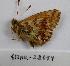  ( - 612NK-28644.1)  @12 [ ] Unspecified (default): All Rights Reserved  Unspecified Unspecified