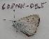  ( - 608NK-DB5)  @13 [ ] Unspecified (default): All Rights Reserved  Unspecified Unspecified