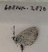  ( - 608NK-2870)  @12 [ ] Unspecified (default): All Rights Reserved  Unspecified Unspecified