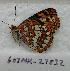  ( - 607NK-27836)  @12 [ ] Unspecified (default): All Rights Reserved  Unspecified Unspecified