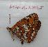  ( - 607NK-27839)  @12 [ ] Unspecified (default): All Rights Reserved  Unspecified Unspecified