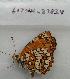  ( - 607NK-27838)  @12 [ ] Unspecified (default): All Rights Reserved  Unspecified Unspecified