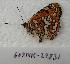  ( - 607NK-278310)  @12 [ ] Unspecified (default): All Rights Reserved  Unspecified Unspecified