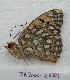  ( - 767NK-2624)  @12 [ ] Unspecified (default): All Rights Reserved  Unspecified Unspecified