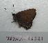  ( - 767NK-263211)  @13 [ ] Unspecified (default): All Rights Reserved  Unspecified Unspecified