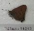  ( - 767NK-263231)  @12 [ ] Unspecified (default): All Rights Reserved  Unspecified Unspecified