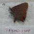  ( - 764NK-2788)  @13 [ ] Unspecified (default): All Rights Reserved  Unspecified Unspecified
