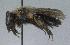  ( - Bee3-18)  @13 [ ] Copyright (2010) Unspecified Unspecified