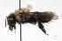  ( - Bee188)  @11 [ ] Copyright (2010) Unspecified Unspecified