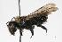  ( - Bee191)  @11 [ ] Copyright (2010) Unspecified Unspecified
