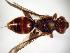  ( - Bee20-1)  @14 [ ] Copyright (2010) Unspecified Unspecified