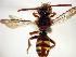  ( - Bee20-2)  @15 [ ] Copyright (2010) Unspecified Unspecified